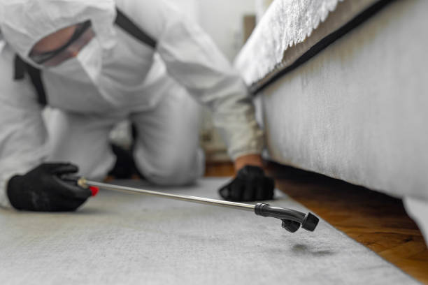 Professional Termite Control technician working in Ross, OH