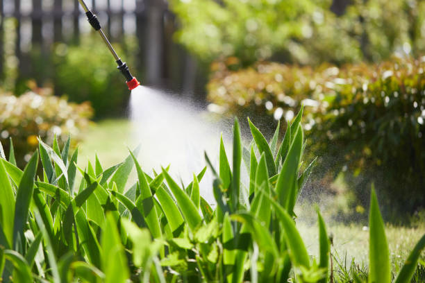 24/7 Emergency Termite Control experts in Ross, OH