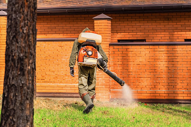 Top rated local Termite Control specialists in Ross, OH